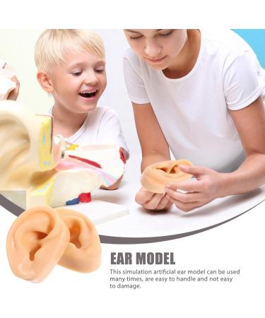 Safigle Silicone Human Ear Model for Piercing Practice | Realistic Fake Ear for Acupuncture & Jewelry Display | Teaching Materials & Instructions - Buy Online on GoSupps.com