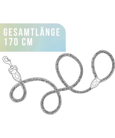 High-Quality 1.7m No Tangle Dog Training Leash - Aqua Braided Rope with Hand Loop - Buy Online on GoSupps.com