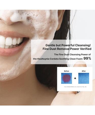 Heartleaf Calming Cleansing Foam - Korean Skincare Face Wash for Sensitive Skin Makeup Remover & Hydrating Cleanser with Centella & Bamboo Extracts - Hypoallergenic & EWG Green Ingredients 120ml - Buy Online on GoSupps.com