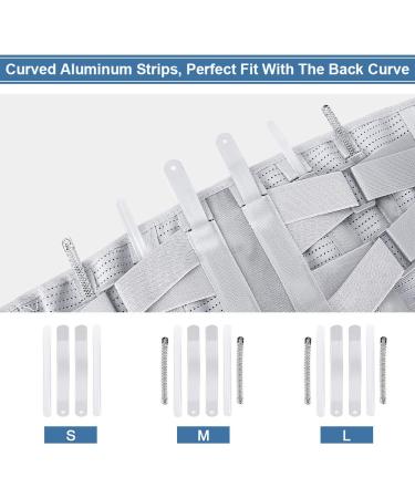 Back Support Belt for Men & Women | Posture Correction & Muscle Relief | ckbandlag Support Struts (L) - International Shipping Available - Buy Online on GoSupps.com