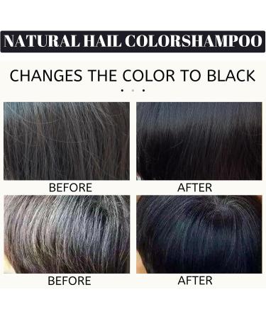  Grgowe Natural Hair Darkening Black Hair Shampoo Shampoo for Black Hair Polygonum Multiflorum Shampoo He Shou Wu Shampoo For Grey Hair Dry And Damaged Hair Men And Women - Buy Online on GoSupps.com