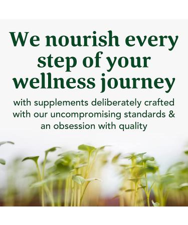 MegaFood Turmeric Inflammation Response Gummies - 40 Count | Natural Anti-Inflammatory Support - Buy Online on GoSupps.com