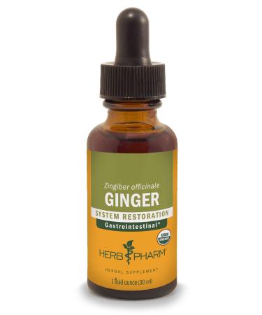 Herb Pharm Certified Organic Ginger Liquid Extract for Digestive Support - 1 Ounce 1 Fl Oz (Pack of 1)