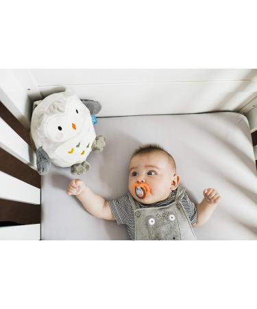 Tommee Tippee Glow in The Dark Pacifiers, 0-6m, BPA-Free Silicone, 2-Pack - Assorted Colors - Buy Online on GoSupps.com