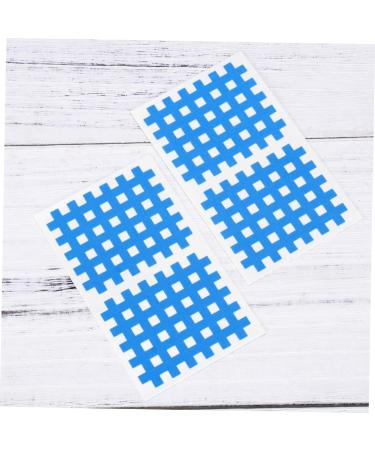 Shop Gatuida 20 Sheets Adhesive Tape for Miniature Garden Tools Athletic Use Soy Sauce Dishes & Fitness Physiotherapy - International Shipping Available - Buy Online on GoSupps.com