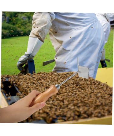 Mipcase King Partition Cleaning Shovel Beehive Cleaning Shovel Household Beekeeping Shovel Beehive Scraping Tool Cleaner Stainless Steel Italian Bee Professional Beehive Shovel 21x6.2cm As Shown - Buy Online on GoSupps.com