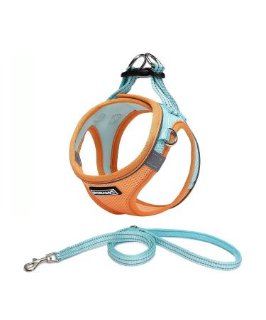 Doramio dog harness Small dogs with a leash step-in dishes reflective breathable breast tableware Anti train safety harness Cat harrying for small dogs cats (xxs orange blue) xx orange blue - Buy Online on GoSupps.com