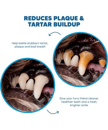 Hartz Dentist s Best DentaShield 4 Rawhide Chew 12 Bones - 83% Less Tartar - Healthy Gums - Fresh Breath - Beef Flavor - Dental Care for Dog Pack of 12 Retriever Rolls for Small Dogs (3x4 Rolls) - Buy Online on GoSupps.com