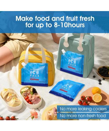 5-Pack Reusable Ice Packs for Cooler Lunch Bags | Long Lasting Freezer Packs | Medium Size 9.9x8.9inch | Cooler Accessories - Buy Online on GoSupps.com