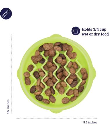 Petstages Kitty Slow Feeder Cat Bowl - Green | Slow Down Eating Habits for Healthy Cats - Buy Online on GoSupps.com