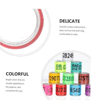 Balacoo 300 Pcs Homing Pigeon Identification Ring Tools Private Pigeons Marker Bird Distinguish Tool Birds 1.1x0.8cm x3pcs Colorfulx3pcs - Buy Online on GoSupps.com