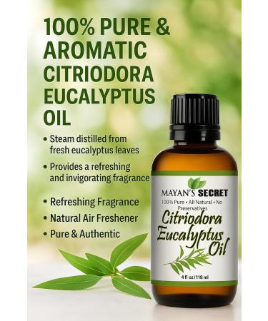 Citriodora Eucalyptus Essential Oil - Huge 4 OZ - 100% Pure & Natural Premium Grade Amber Glass Bottle and Dropper - Buy Online on GoSupps.com