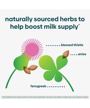 UpSpring MilkFlow Fenugreek & Blessed Thistle Drink - Berry Flavor, 16 Packets (10g Each) for Lactation Support - Buy Online on GoSupps.com