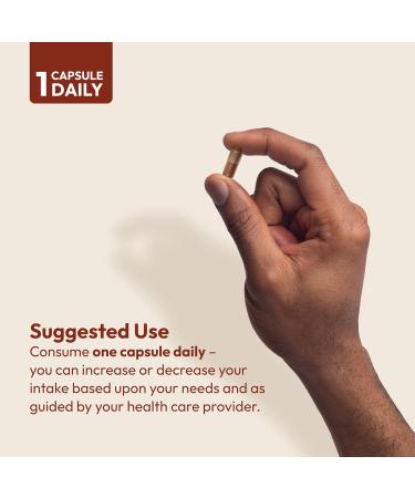 ANDREW LESSMAN Cinnamon 400mg - 360 Capsules - High Potency Standardized Extract. No Additives. Small Easy to Swallow Capsules 360 Count (Pack of 1) - Buy Online on GoSupps.com