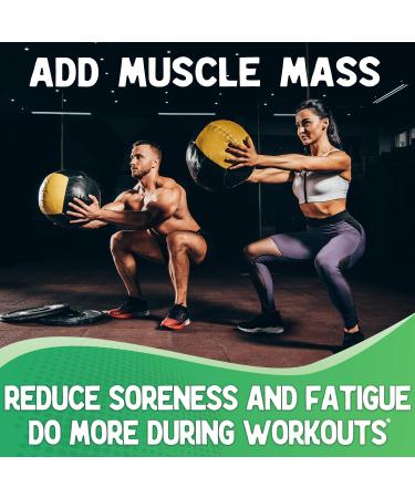 Buy Premium BCAA Amino Acids Capsules - 300 Count (3 Month Supply) | Branched Chain Amino Acids Supplement for Muscle Recovery - Buy Online on GoSupps.com