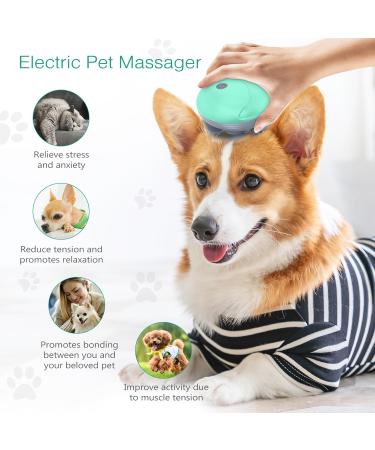ORIA Wireless Electrical Head & Pet Massage Device - Scalp & Full Body Relaxation USB Charging 5 Modes 4 Heads IPX6 Waterproof - Green - Buy Online on GoSupps.com