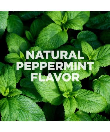 Plant of Life Pulling Oil | Natural Daily Oral Care | Ayurvedic Formula | Coconut + Mint | Gentle Formula & Freshen Breaths | 8 oz (240mL) - Buy Online on GoSupps.com