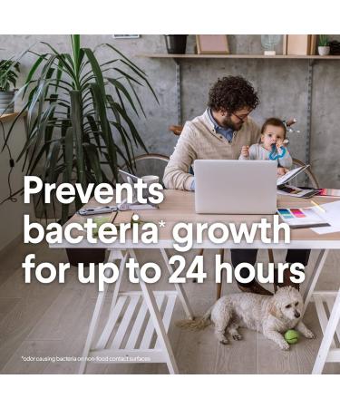 Clorox Disinfecting Wipes, Crisp Lemon, 75 Count (Pack of 6) - Cleaning Wipes - Buy Online on GoSupps.com