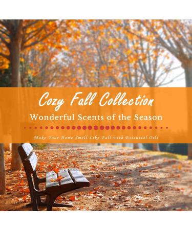 Buy SALUBRITO Fall Fragrance Oils Set - Autumn Essential Oils for Diffuser & Candle Making | Cinnamon Pumpkin Spice Vanilla & More | 6x10ml Aromatherapy Gift - Buy Online on GoSupps.com