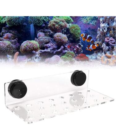Jeanoko Coral Rack Holder - 23 Holes Frag Rack for 3 Coral Species | Healthier Coral Growth - Buy Online on GoSupps.com