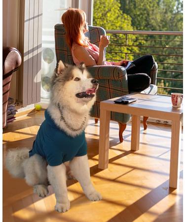 Kickred Cotton Dog Hoodie Sweater - 2XL Turquoise & Dark Blue - Pet Clothes for Small to Large Dogs - Buy Online on GoSupps.com