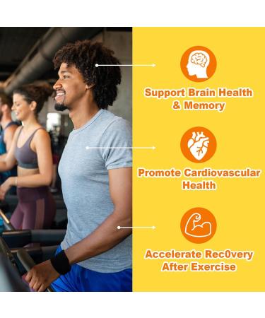 Acetyl L-Carnitine Gummies Sugar Free Premium L-Carnitine Supplement for Women & Men ALCAR Supplement for Energy Muscle Focus & Brain Support Gluten-Free Non-GMO Vegan Pineapple Flavor 60 Ct 60 Count (Pack of 1) - Buy Online on GoSupps.com