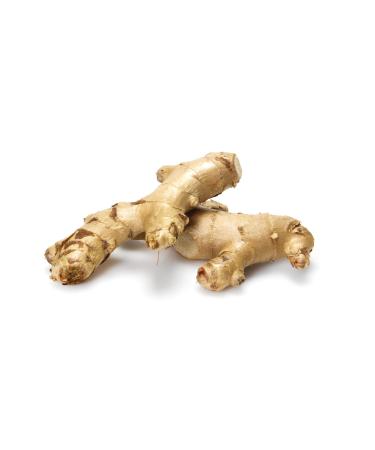 Root Ginger Conventional, 1 Each 7.52 Ounce (Pack of 1)