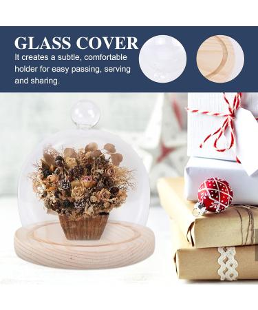 NOLITOY 1 Set Glass Cover High Borosilicate Glass Arch Dust Cover Round 12cm - Buy Online on GoSupps.com