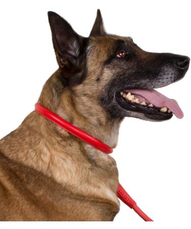 Collardirect Handmade Soft Padded Round Leather Dog Collar | Real Leather for Small to Big Dogs & Cats | 18-20 cm | Available in Black Pink Red Purple Blue - Buy Online on GoSupps.com