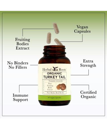 Herbal Roots Organic Turkey Tail Mushroom Supplement - Fruiting Bodies Extract - Immune Support - 60 Vegan Non GMO Capsules - Buy Online on GoSupps.com