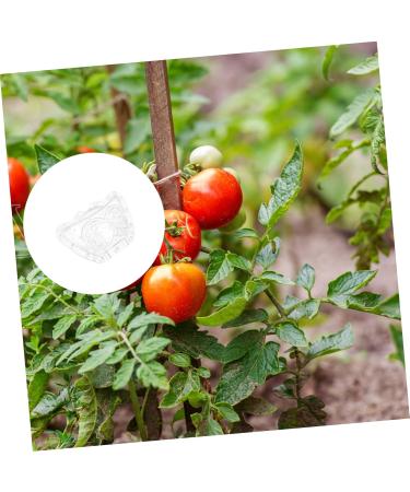 Toddmomy 4 Pcs Ingot Shaped Mold Vegetables Peach Growing Form Mold Pear Gardening Supplies Fruit Stereotypes - Buy Online on GoSupps.com