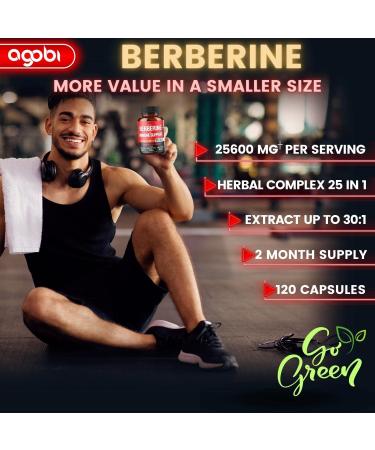Premium Berberine Supplement 25600mg with Milk Thistle, Ashwagandha, Turmeric - 120 Capsules - Immune, Cardio, Gut support - Buy Online on GoSupps.com