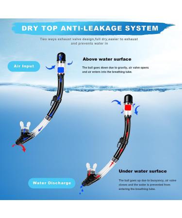 Zipoute Snorkel Set for Adults - Anti-Leak Panoramic Lens, Adjustable Gear for Scuba Diving and Swimming (Black) - Buy Online on GoSupps.com
