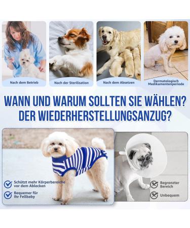 Eyein Dogebody After Op - Breathable Soft One-Piece for Dogs | Wound Protection Zip & Belt | E-Neck Band Alternative (Blue XS) - Buy Online on GoSupps.com
