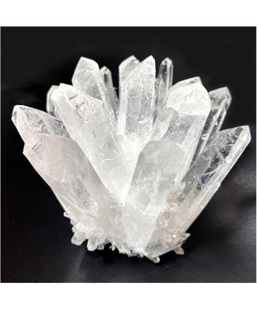 Natural Crystal Rough Crystal Cluster 300g-700g Natural Rare White Quartz Crystal Cluster Specimen (Size : 400g-500g) - Buy Online on GoSupps.com