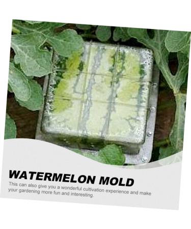 Uonlytech Fruit Vegetables Cucumber Molds for Garden Stair Basket Vegetable Molds Tool Forming Machine Pumpkin 15x15cm Transparent - Buy Online on GoSupps.com