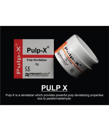 Prevest Denpro Pulp X 6g - Dental Products | Shop Now - Buy Online on GoSupps.com