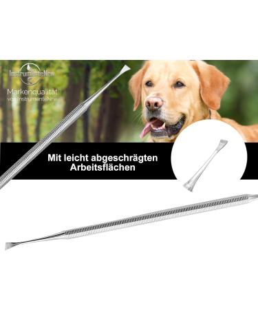 Premium Stainless Steel Dog Denture & Tartar Remover - 2-Sided Tooth Cleaner Scratcher for Pets - Buy Online on GoSupps.com