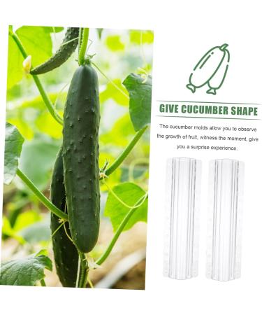 Milisten 9 Pcs Vegetable Shaping Mold Watermelon Strawberry - Buy Online on GoSupps.com