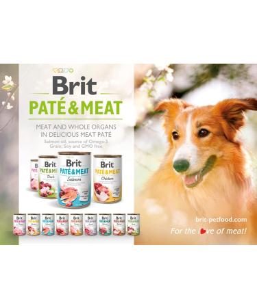 Wet food for dogs VAFO PRAHA sro Brit Can 800g Pate & Meat Salmon / 6 - Buy Online on GoSupps.com