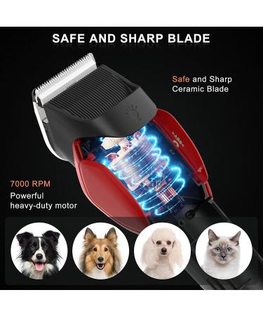 Solimpia Pet Clippers - Rechargeable Cordless Grooming Trimmer Kit for Dogs and Cats | Low Noise Professional Pet Hair Shaver Set - Buy Online on GoSupps.com