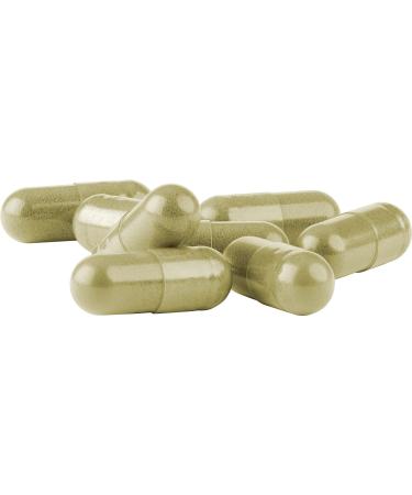 Organic Kelp Capsules | 180 Vegan Capsules | 600mg Per Serving | Additive-Free | Lab Tested in Germany | Biocontor - Buy Online on GoSupps.com