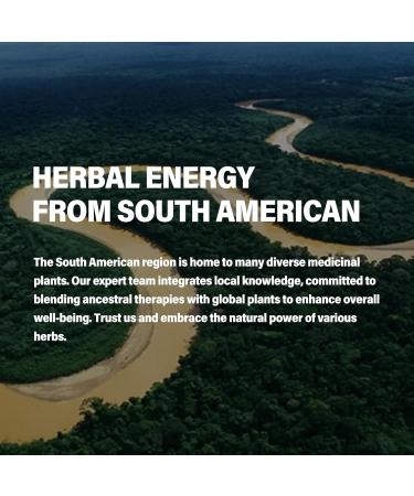 Herbal Liquid Drops Natural Uva Ursi Extract May Support Urinary Health Combat Free Radicals. 4oz Original 4 Fl Oz (Pack of 1) - Buy Online on GoSupps.com