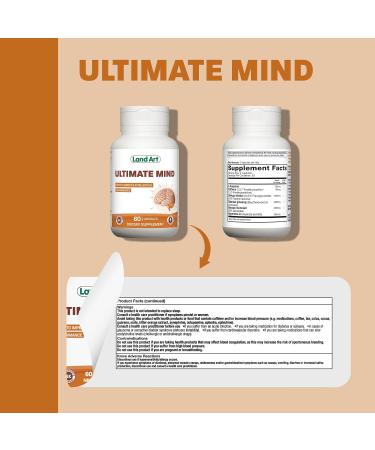 Ultimate Mind Brain Supplement Memory Focus Mental Sharpness Brain Booster Enhanced productivity 6 Ingredients: L-theanine Ginko Biloba Bacopa Monnieri Ginseng and more - 60 Capsules - Buy Online on GoSupps.com