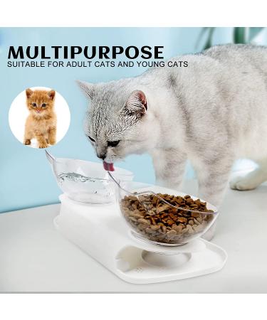 NAODONGLI Elevated Double Cat Bowls - 15 Tilted Raised Protective Feeder for Cats & Small Dogs - 4 Bowls - Buy Online on GoSupps.com
