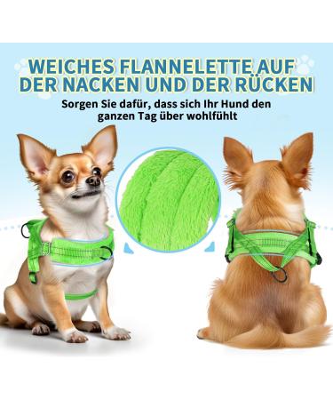 Eyein No-Pull Dog Harness with Leash - Soft Padded Reflective Adjustable for Puppies & Small to Large Dogs - Green (S) - Best for Pets & Cats - Buy Online on GoSupps.com