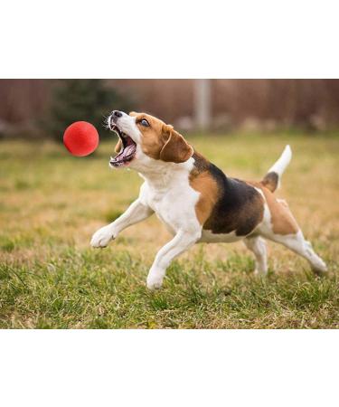 Panlom 3 Pack Dog Balls Indestructible - 100% Natural Rubber Dog Ball Non-Toxic Tough Toy for Small Medium Large Dog Medium 5.5cm/2.2inch - Buy Online on GoSupps.com