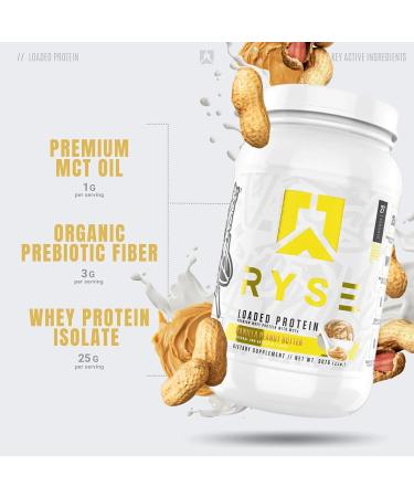 Ryse Core Series Loaded Protein | 25 Grams of Protein Per Serving | Whey Isolate & Whey Concentrate Protein Powder with Added MCTs & Fibre | 2LB 27 Servings (Vanilla Peanut Butter) - Buy Online on GoSupps.com