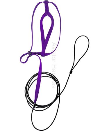 Aviator Bird Harness & Leash - Made in America Purple | International Shipping Available - Buy Online on GoSupps.com