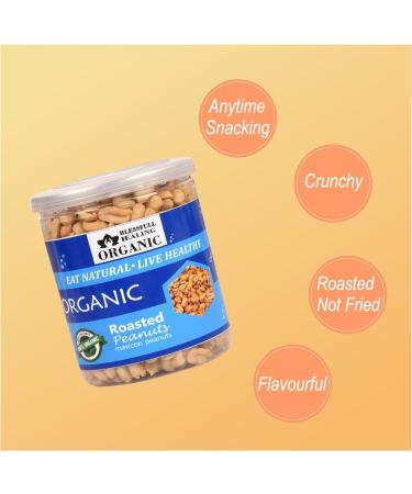 Blessfull Healing Organic Natural Vegan Maxicon Roasted Peanuts Crunchy Healthy Snacks 250 Gram - Buy Online on GoSupps.com